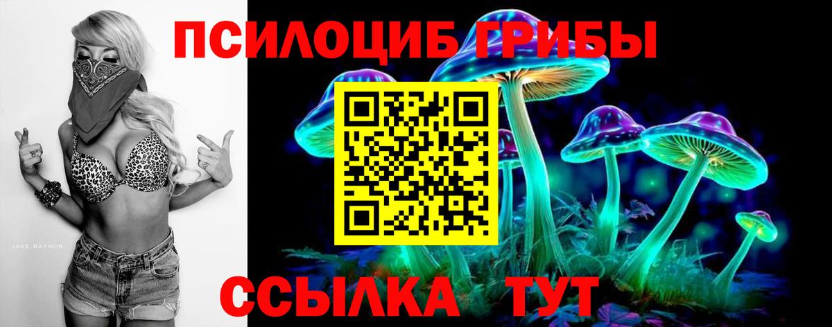 Псилоцибиновые грибы мухоморы Бугуруслан