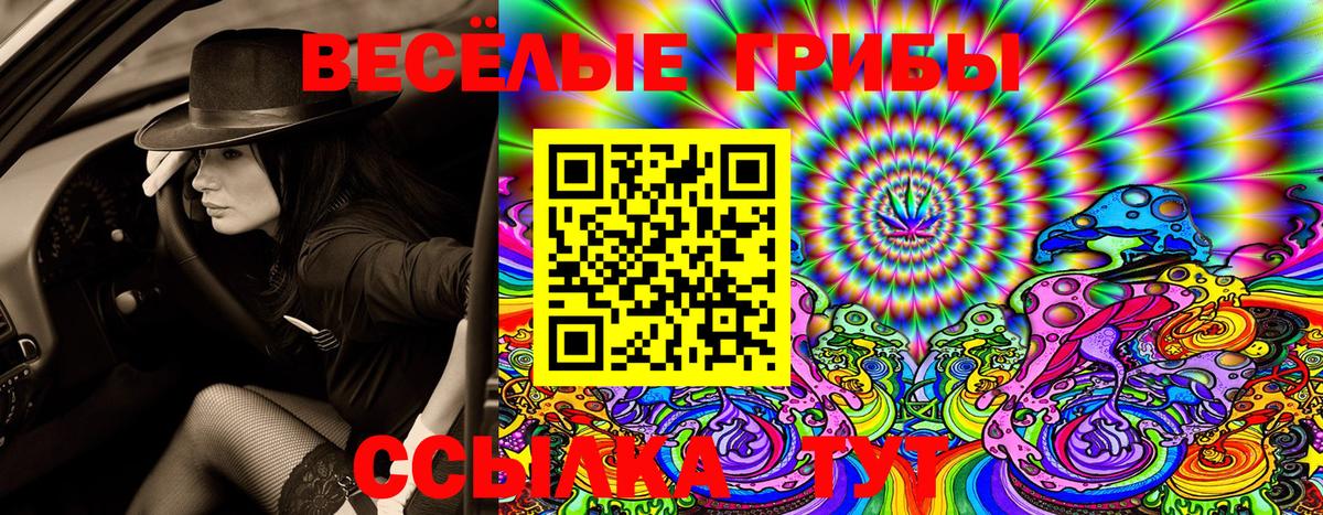 Галлюциногенные грибы Magic Shrooms  Вход с VPN  Псилоцибиновые грибы мухоморы  Бугуруслан 